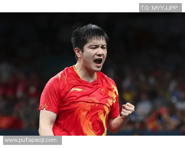 聚焦乒乓球：探索杭州乒乓球队背后的力量与精神传承